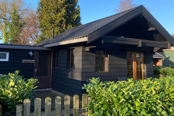 Vakantiehuis met omheinde tuin in Zuidlaarderveen (Nederland) 4 honden zijn welkom